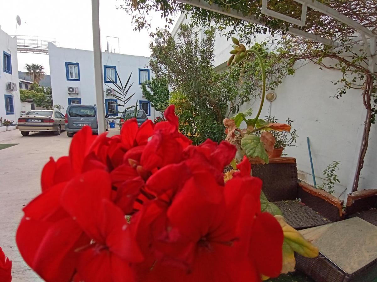 Pay Otel Bodrum Zewnętrze zdjęcie